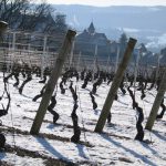 La Bourgogne sous la neige