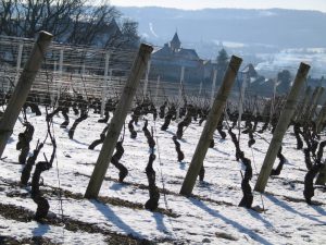 La Bourgogne sous la neige